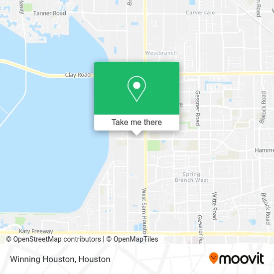 Winning Houston map