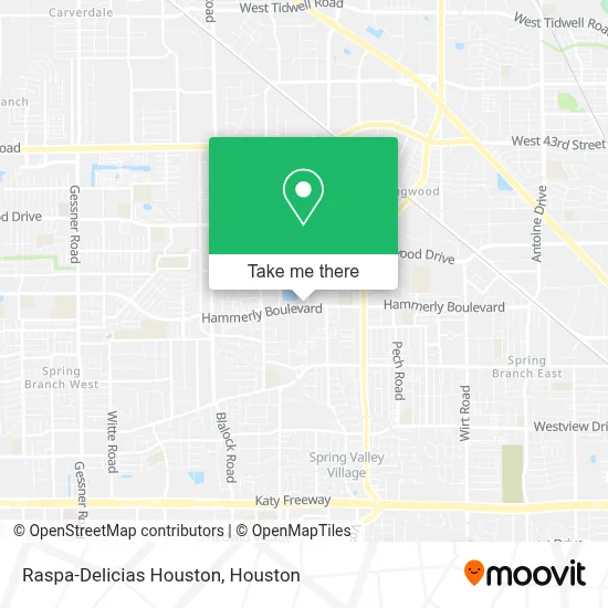 Raspa-Delicias Houston map