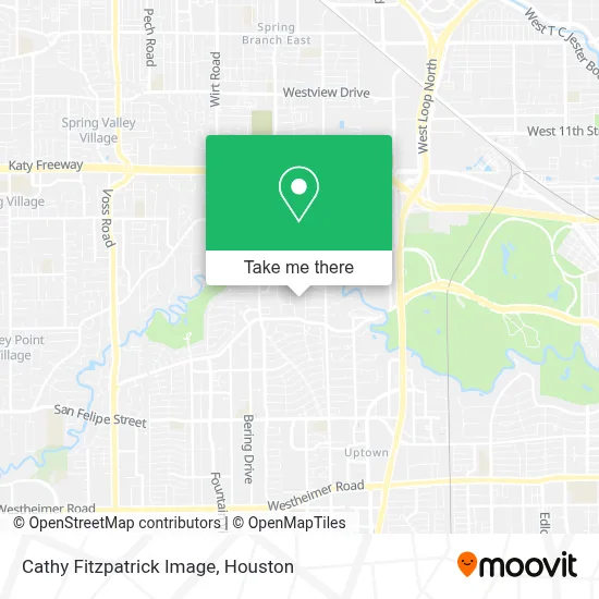 Cathy Fitzpatrick Image map