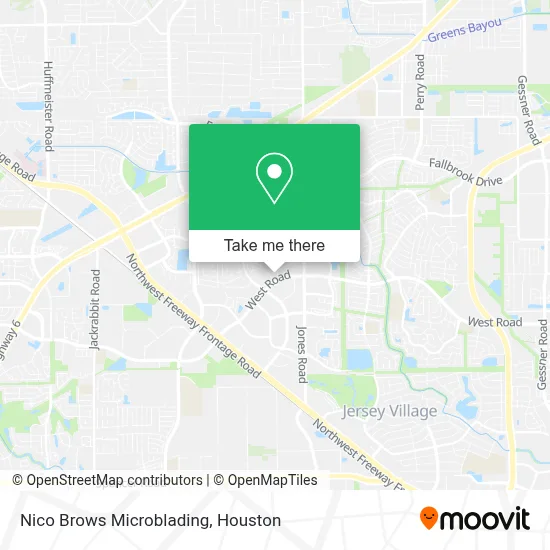 Nico Brows Microblading map