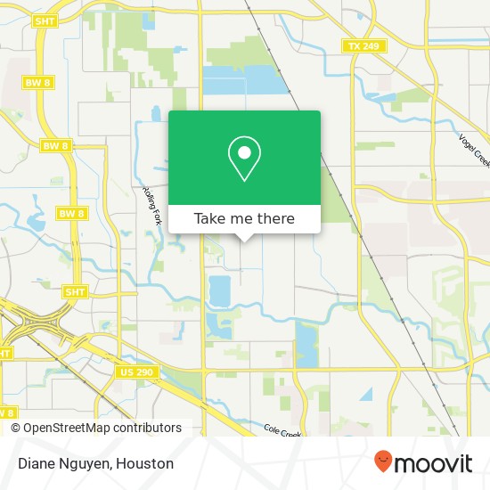 Diane Nguyen map
