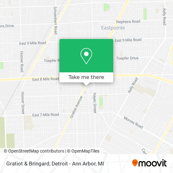 Gratiot & Bringard map