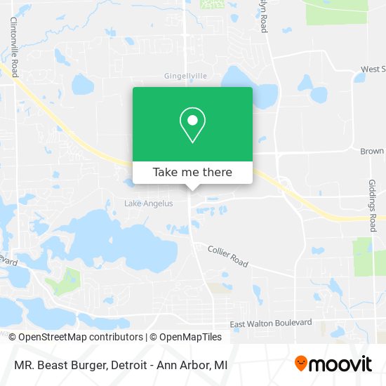 MR. Beast Burger map