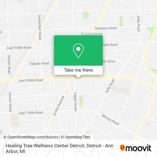 Mapa de Healing Tree Wellness Center Detroit