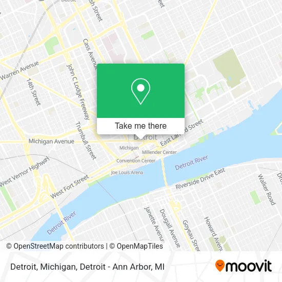Detroit, Michigan map