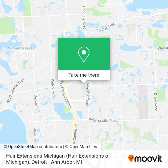 Hair Extensions Michigan map