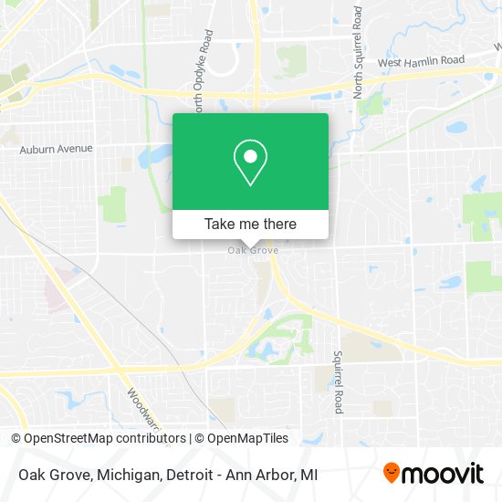 Oak Grove, Michigan map