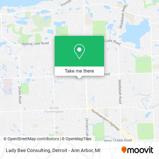 Lady Bee Consulting map