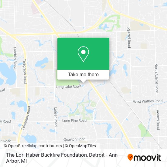 The Lori Haber Buckfire Foundation map