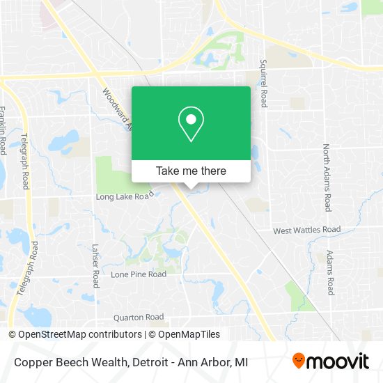 Copper Beech Wealth map