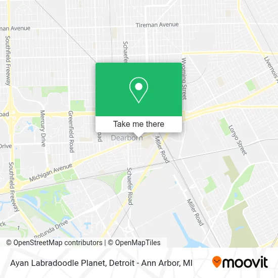 Ayan Labradoodle Planet map