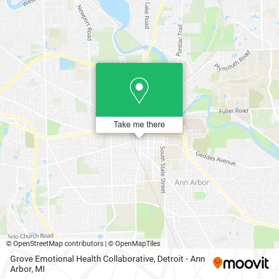 Grove Emotional Health Collaborative map