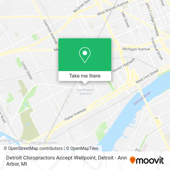Detroit Chiropractors Accept Wellpoint map
