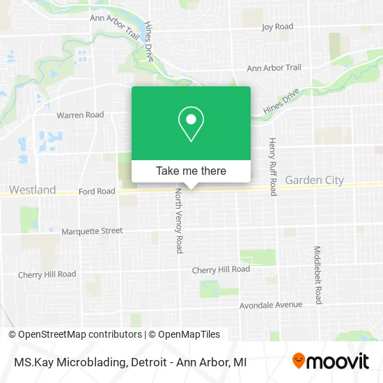 MS.Kay Microblading map