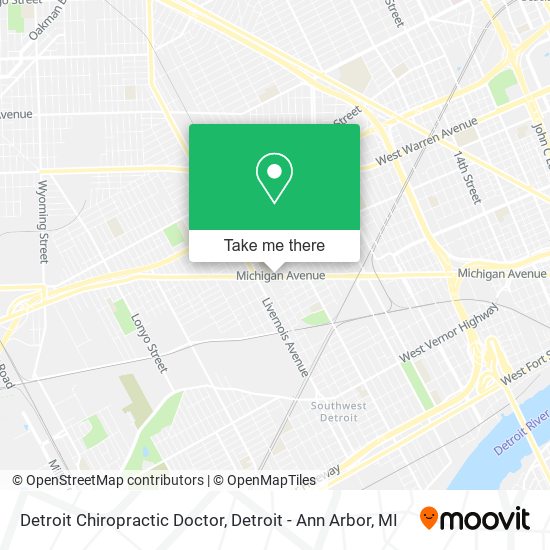 Detroit Chiropractic Doctor map