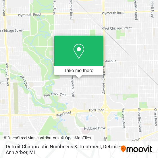 Detroit Chiropractic Numbness & Treatment map