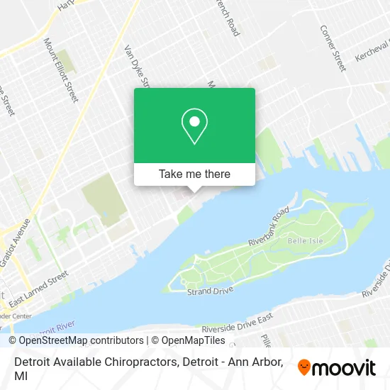 Detroit Available Chiropractors map