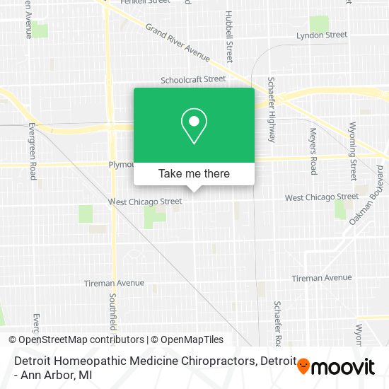 Detroit Homeopathic Medicine Chiropractors map