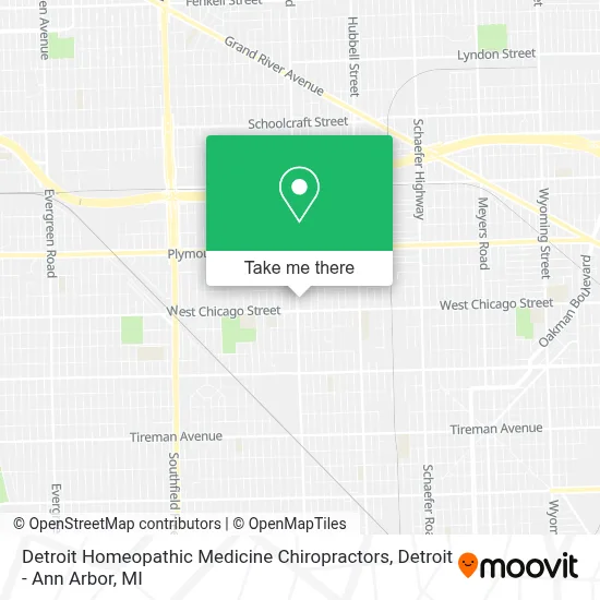 Detroit Homeopathic Medicine Chiropractors map