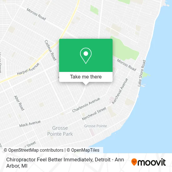 Chiropractor Feel Better Immediately map