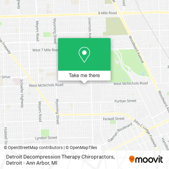Detroit Decompression Therapy Chiropractors map