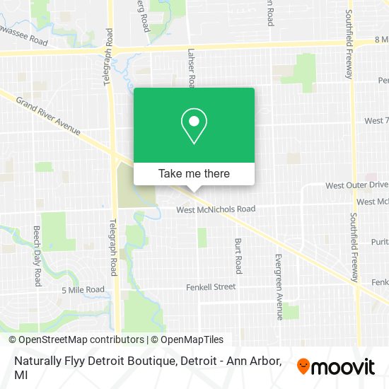 Naturally Flyy Detroit Boutique map