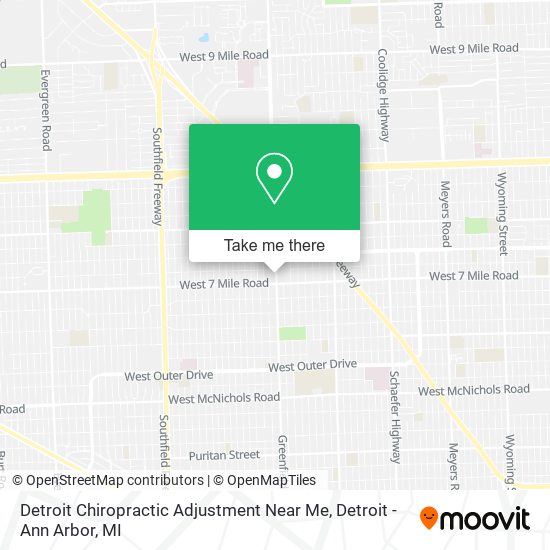 Detroit Chiropractic Adjustment Near Me map