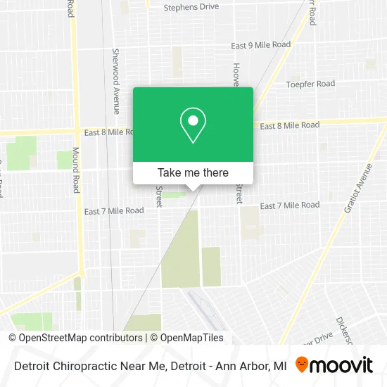 Detroit Chiropractic Near Me map