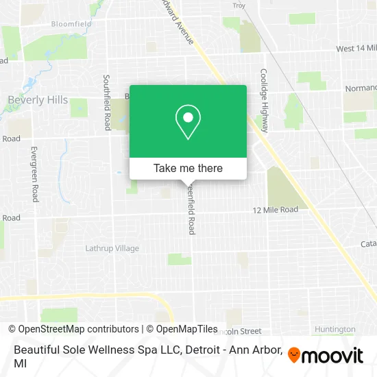 Beautiful Sole Wellness Spa LLC map