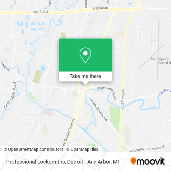 Professional Locksmiths map