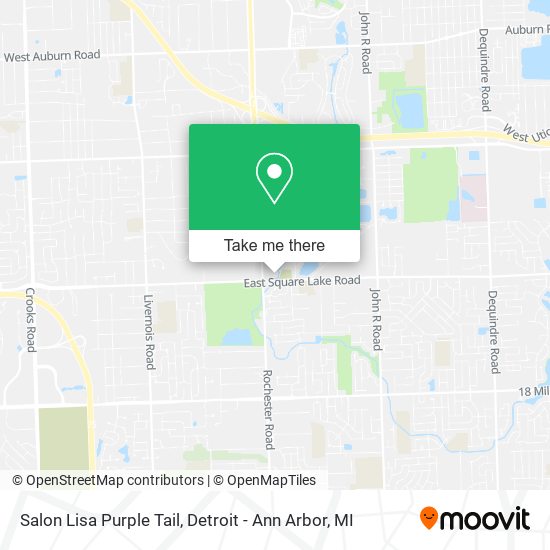 Salon Lisa Purple Tail map