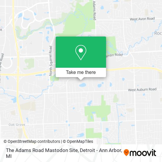 The Adams Road Mastodon Site map