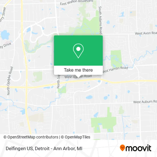 Delfingen US map