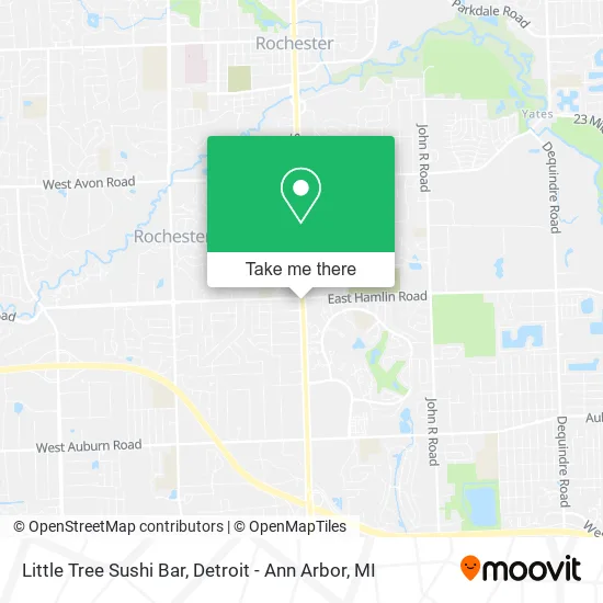Little Tree Sushi Bar map