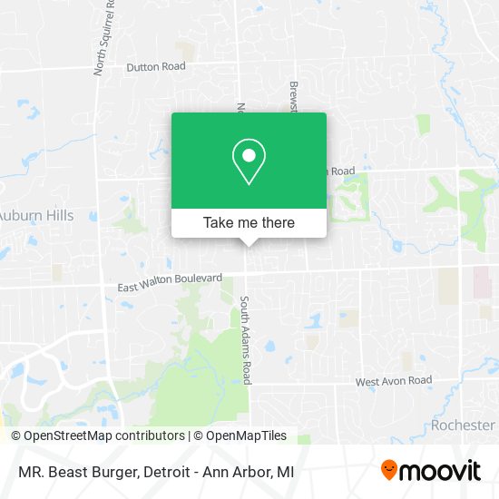 MR. Beast Burger map