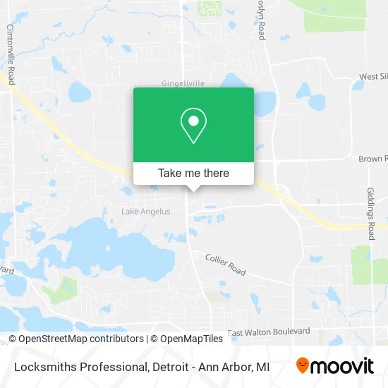 Locksmiths Professional map