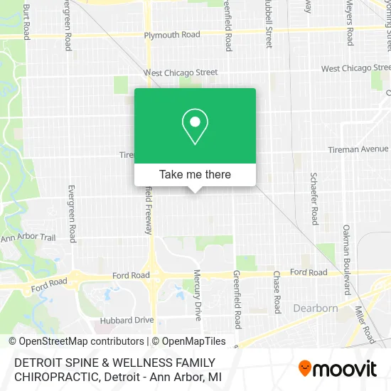 DETROIT SPINE & WELLNESS FAMILY CHIROPRACTIC map