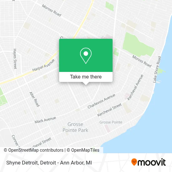 Shyne Detroit map