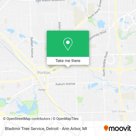 Bladimir Tree Service map