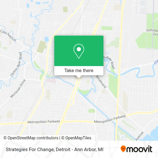 Strategies For Change map