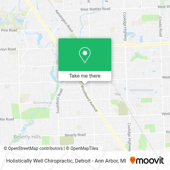 Holistically Well Chiropractic map