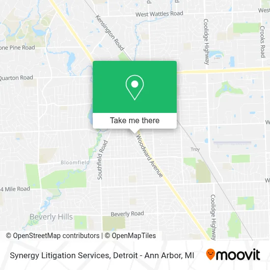 Synergy Litigation Services map