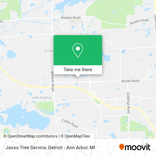 Jasso Tree Service map