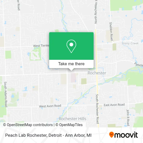 Peach Lab Rochester map