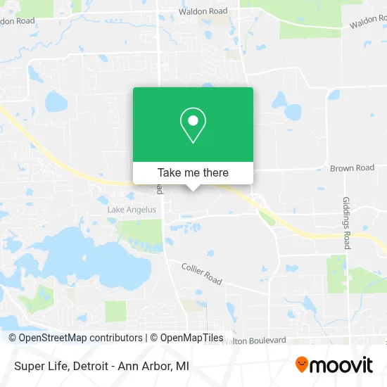 Super Life map