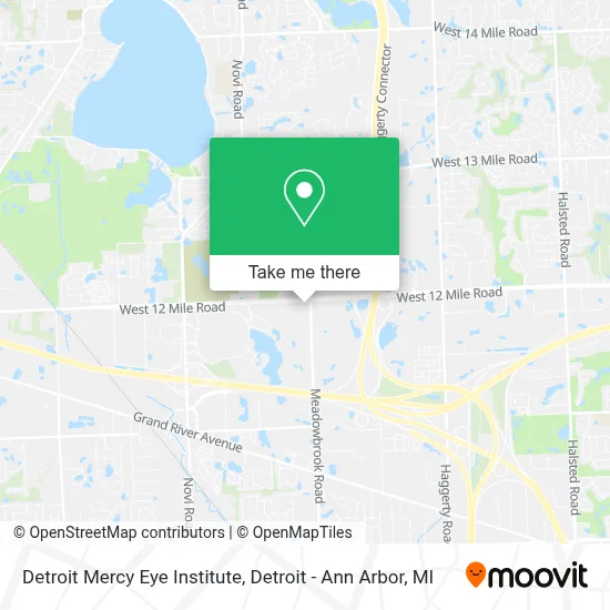 Detroit Mercy Eye Institute map
