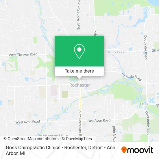 Goss Chiropractic Clinics - Rochester map