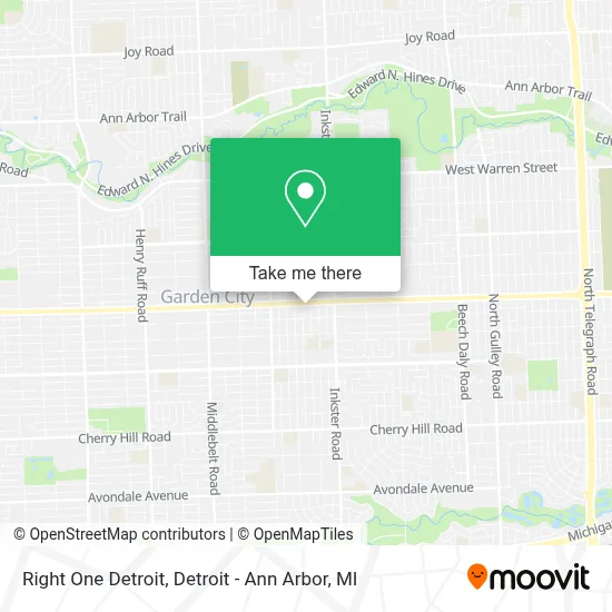 Right One Detroit map
