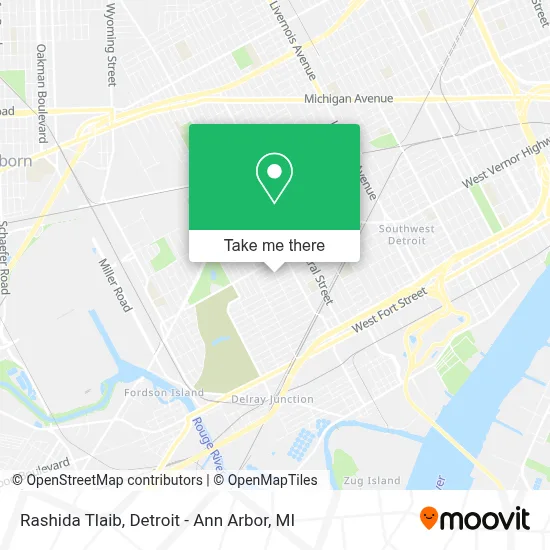 Rashida Tlaib map