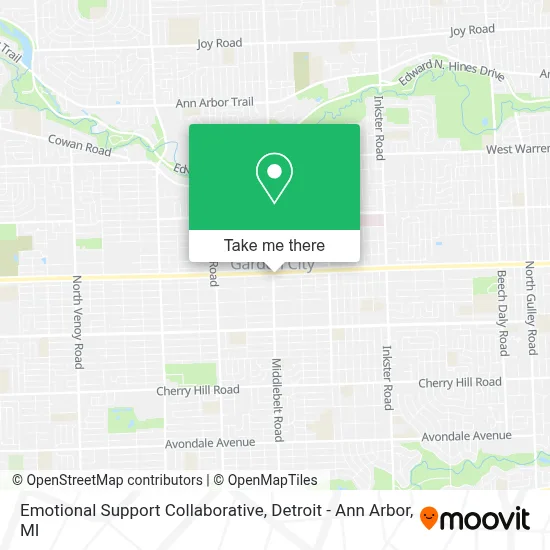 Emotional Support Collaborative map